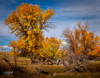 Ash Creek Fall color