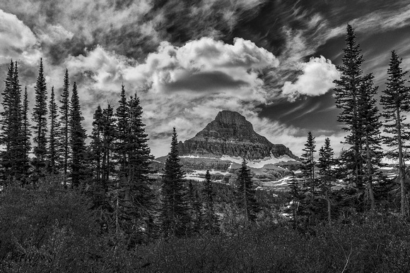 GNP black and white