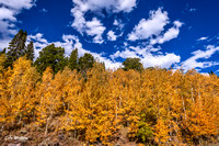 Beartooth Highway fall colors
