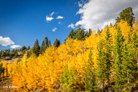 Fall colors Beartooth Highway