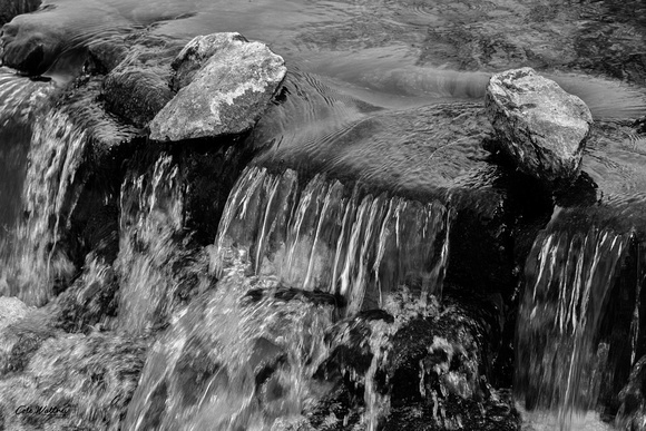 Giant Springs SP black and white