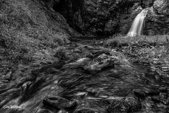 Trout Ck Falls Black and White