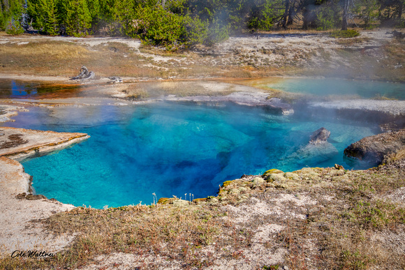 Back Country Blue Spring